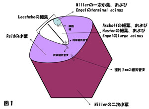 }1