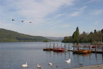 �E�C���_�~�A��