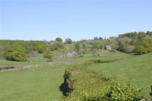 �L��ȓc�����i