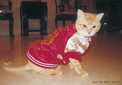 �J�����ڐ��̃~�[�ł��B