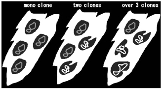 }3