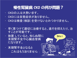 �X���C�h12