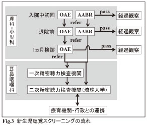 Fig.3