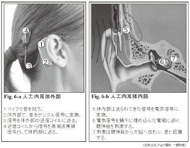 Fig.6